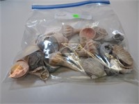 Bag of SeaShells