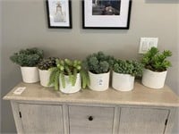 6PC POTTED GREENERY