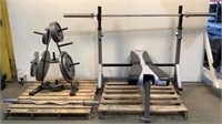 Strength Trainer Weight Bench, Weights & Bars ST-O
