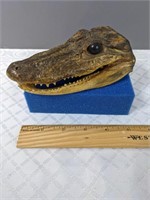 Small Croc / Gator Head