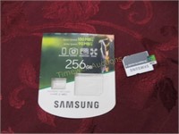 Samsung 256 GB micro SD with adaptor