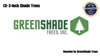 3-Inch Shade Trees