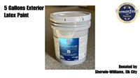 5 Gallons Exterior Latex Paint