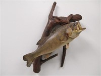 Local P/U Only Large Mouth Bass Taxidermy Wall