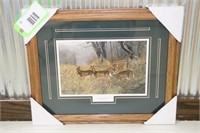 “New Arrival” By - Terry Doughty - Deer Print