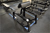 {Each}FpiFit, Standing Incl Barbell Row, Icarian