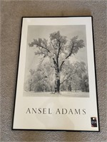 Ansel Adams Picture
