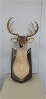 Gemmy Industries animated singing Buck wall mount,