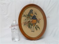 Vintage Oval Framed Birds ~ Trogon Aurantius