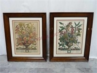 September & January Floral Framed Prints