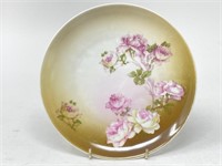 Antique MZ Austria (1884-1909)  Handpainted Plate