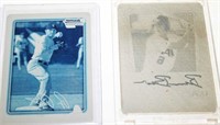 (2) Baseball Cards - Ryan Dent, Brigman
