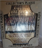 Colorado Avalache Plaque 1995-96 champs