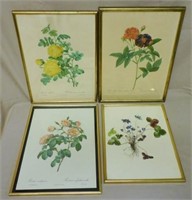 French Framed Flower Engravings.