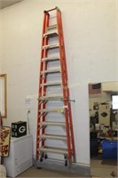 Werner 10' Max Reach Ladder