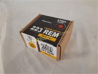 223 REM Ammo, 100 Rounds
