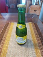 Bouteille Canada Dry