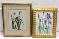 Two Original Signed Iris Watercolors K15E