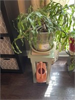 Plant, stool