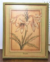 Colleen Berry "Amaryllis" Framed Print