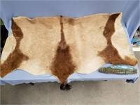 Lot of 2: Partial donkey hide and a hand painted p