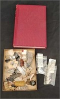 Box of Arrow Heads and Collectible Stones