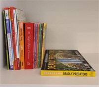 Lot of Children’s Books as pictured