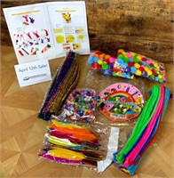 Pipe Cleaner Craft Kit
