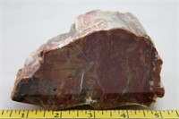 Petrified Wood