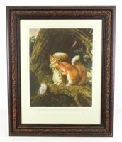 19th c. Squirrel Print