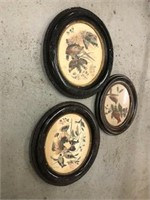 3 Ornate Oval Pictures and Frames