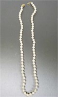 Freshwater pearls w/14k clasp