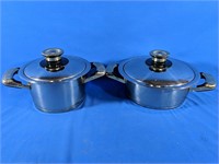 2 Gourmet Royal Stainless steel pots with
