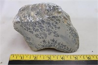 Dendretic Limestone