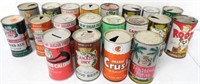Lot of 20 Assorted Soda Cans