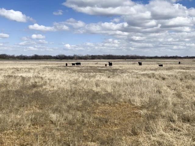 4/21 | 160 +/- Acres | Good Sm. Grain/Livestock Land