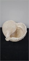 Decorative shell bowl