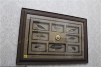 Ducks Unlimited feather Display 33 ½X23 ¼