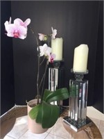 Live Orchid & Two Glass Panel Candle