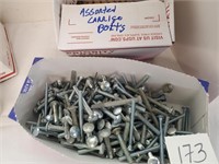 Assorted carriage bolts