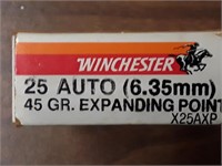 25 AUTO 45 GR. EXPANDING POINT