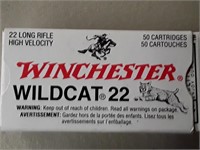 22 LR WINCHESTER WILDCAT 22