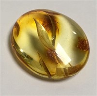 Baltic Amber Stone