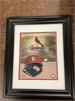 Cardinals photo in frame