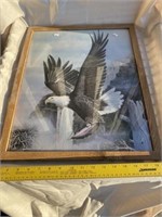 Framed Eagle Picture