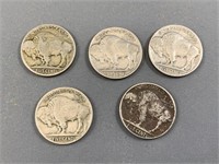 Lot of 5 American Buffalo Nickels