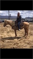 4 YEAR OLD PALOMINO MARE-VIDEO