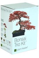 New Plant Theatre Bonsai Trio Kit, 3 Distinctive