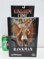Figurine de collection Hawkman de Kingdom Come