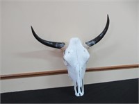 Bull Skull & Horns / Crâne et cornes de taureau
